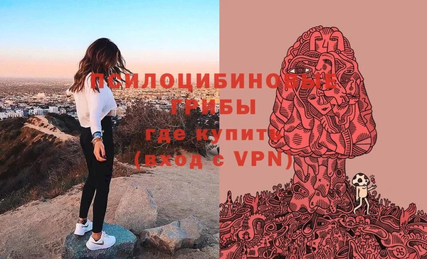 не бодяженный Арсеньев